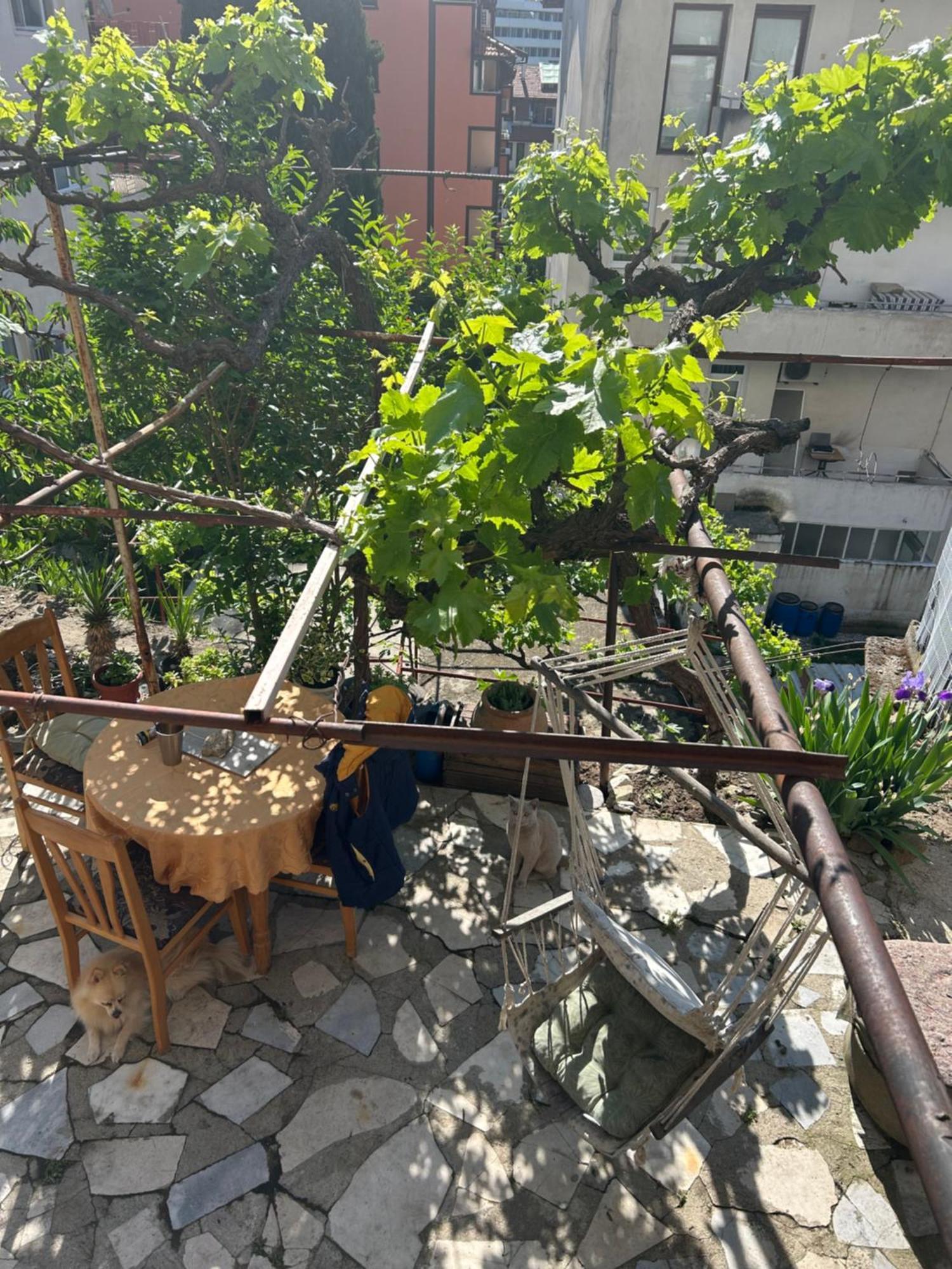 Didi House Apartment Sandanski Exterior photo